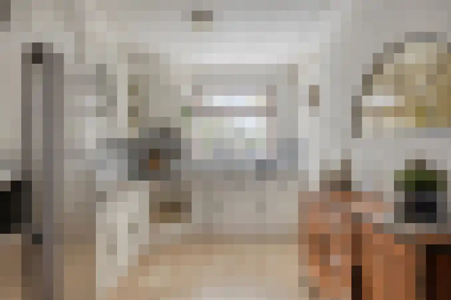 Muzenlaan 51 Leiderdorp thumbnail 13