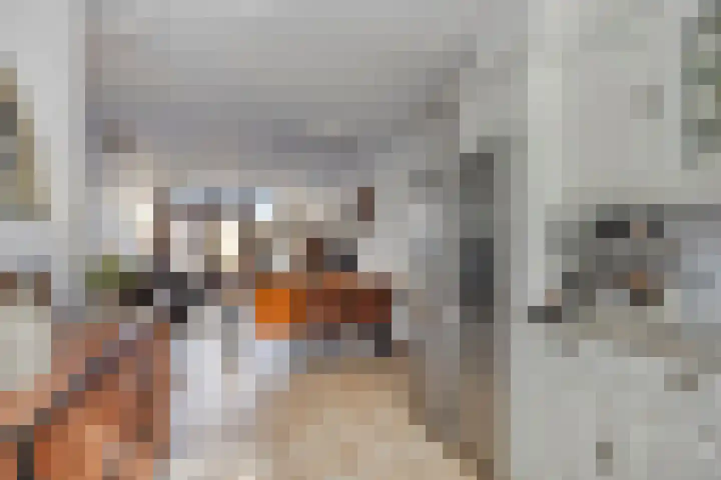 Muzenlaan 51 Leiderdorp thumbnail 15