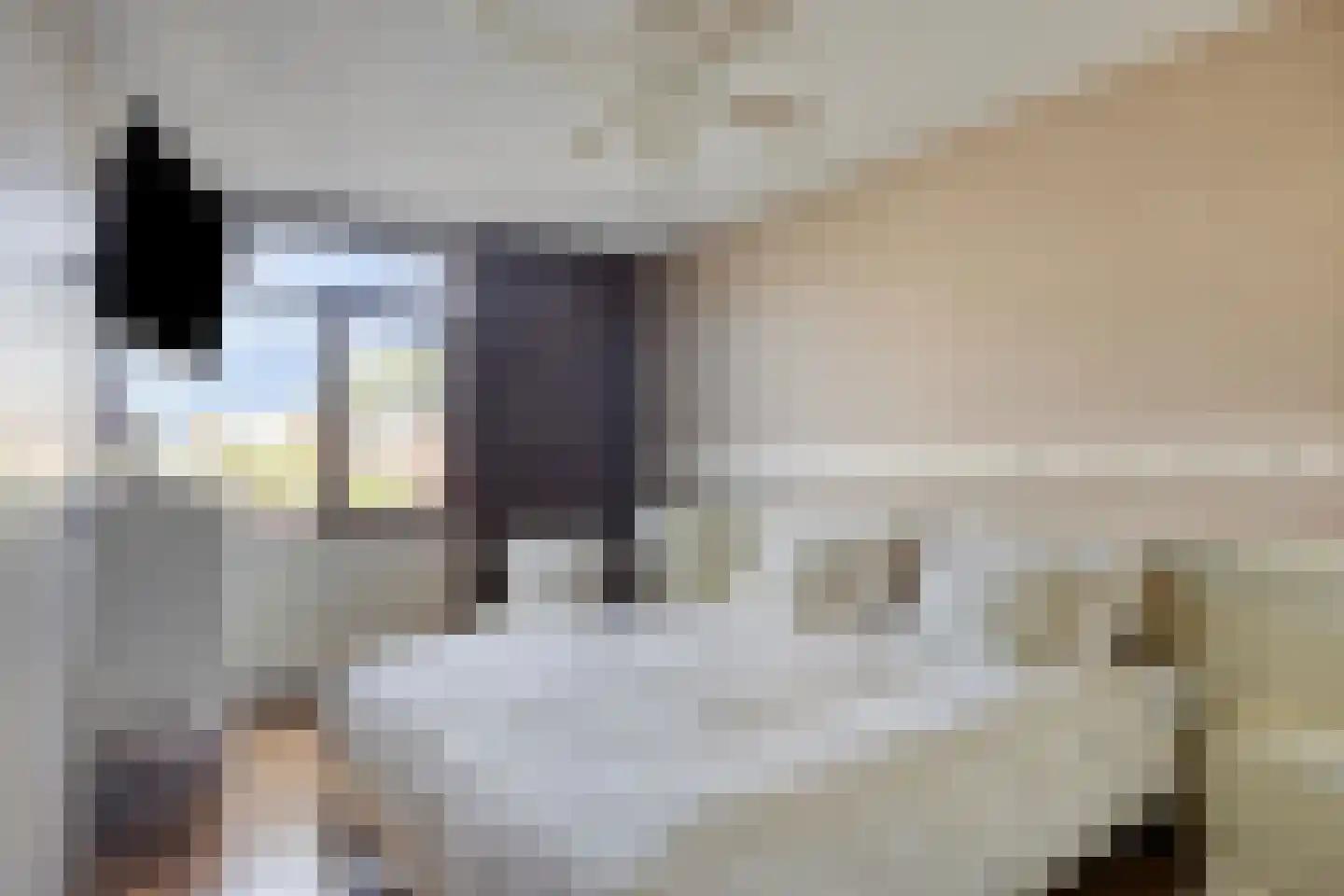 Muzenlaan 51 Leiderdorp thumbnail 25