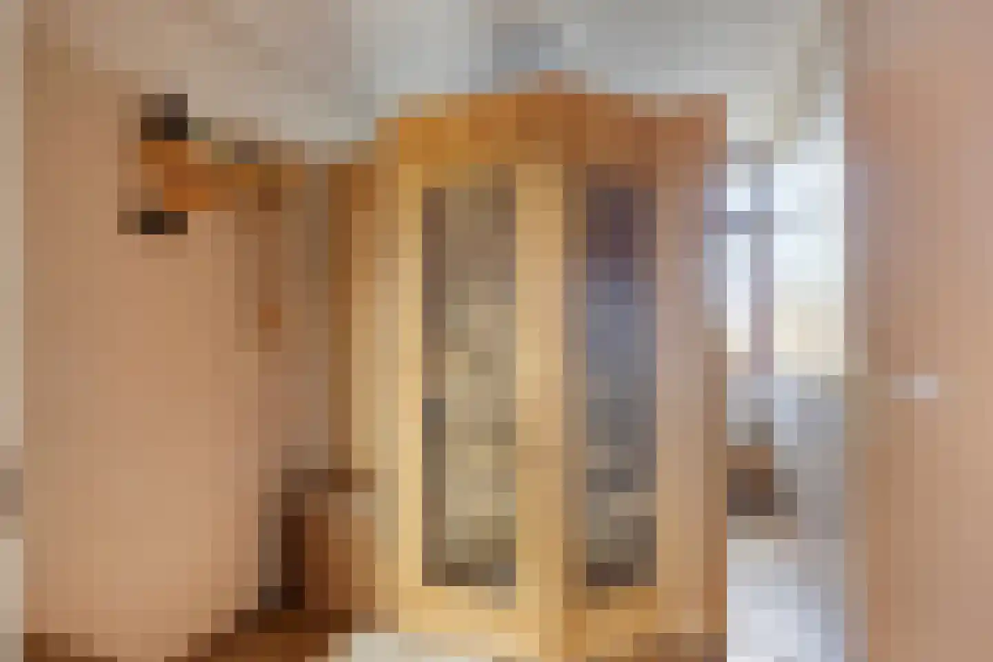 Muzenlaan 51 Leiderdorp thumbnail 29