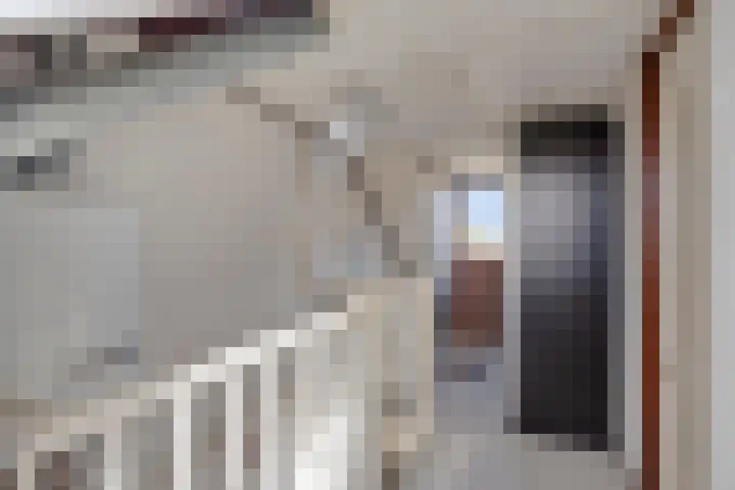 Muzenlaan 51 Leiderdorp thumbnail 31