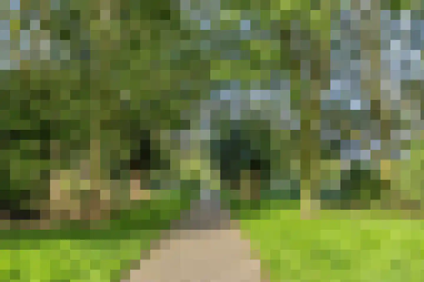 Muzenlaan 51 Leiderdorp thumbnail 38
