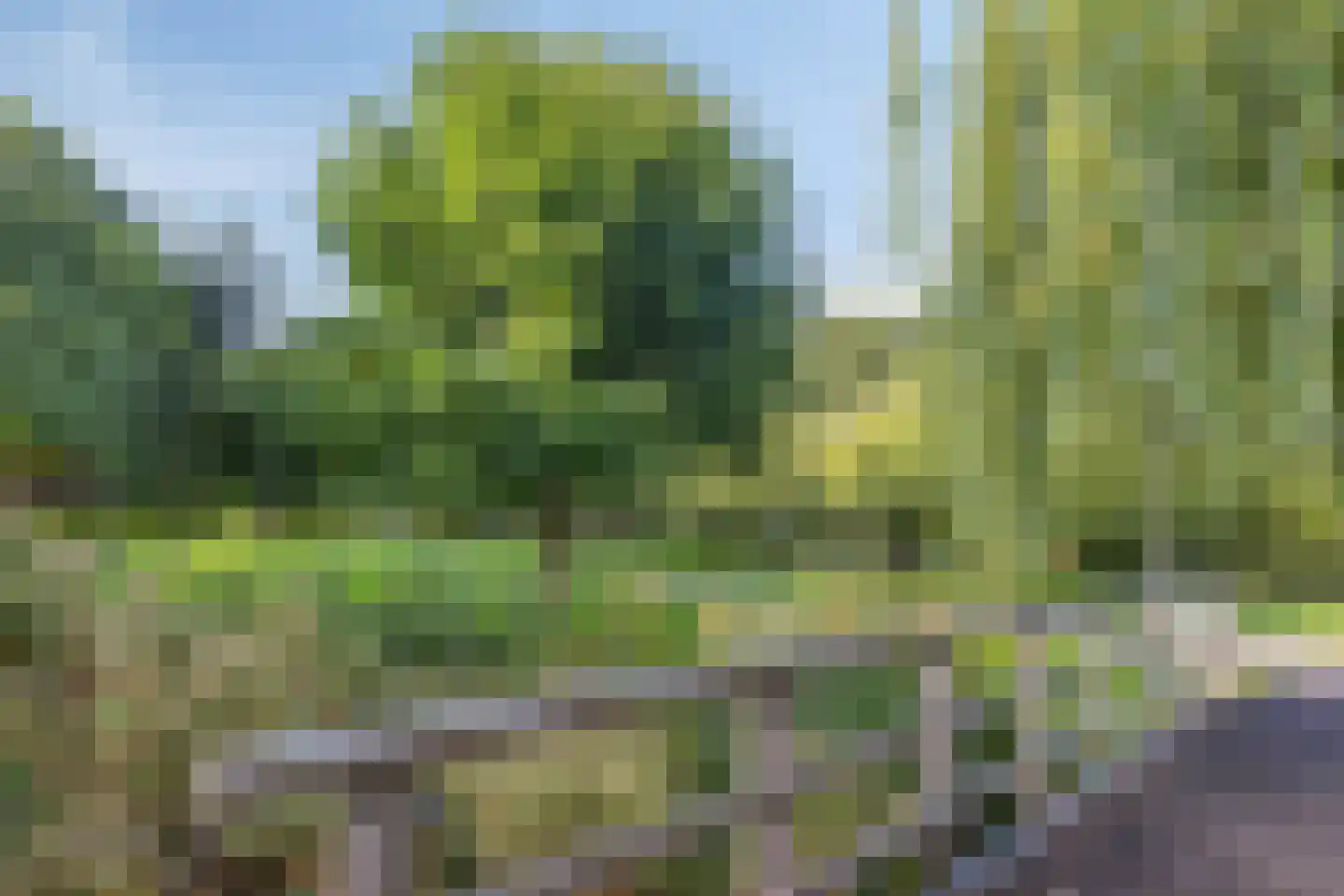 Muzenlaan 51 Leiderdorp thumbnail 39