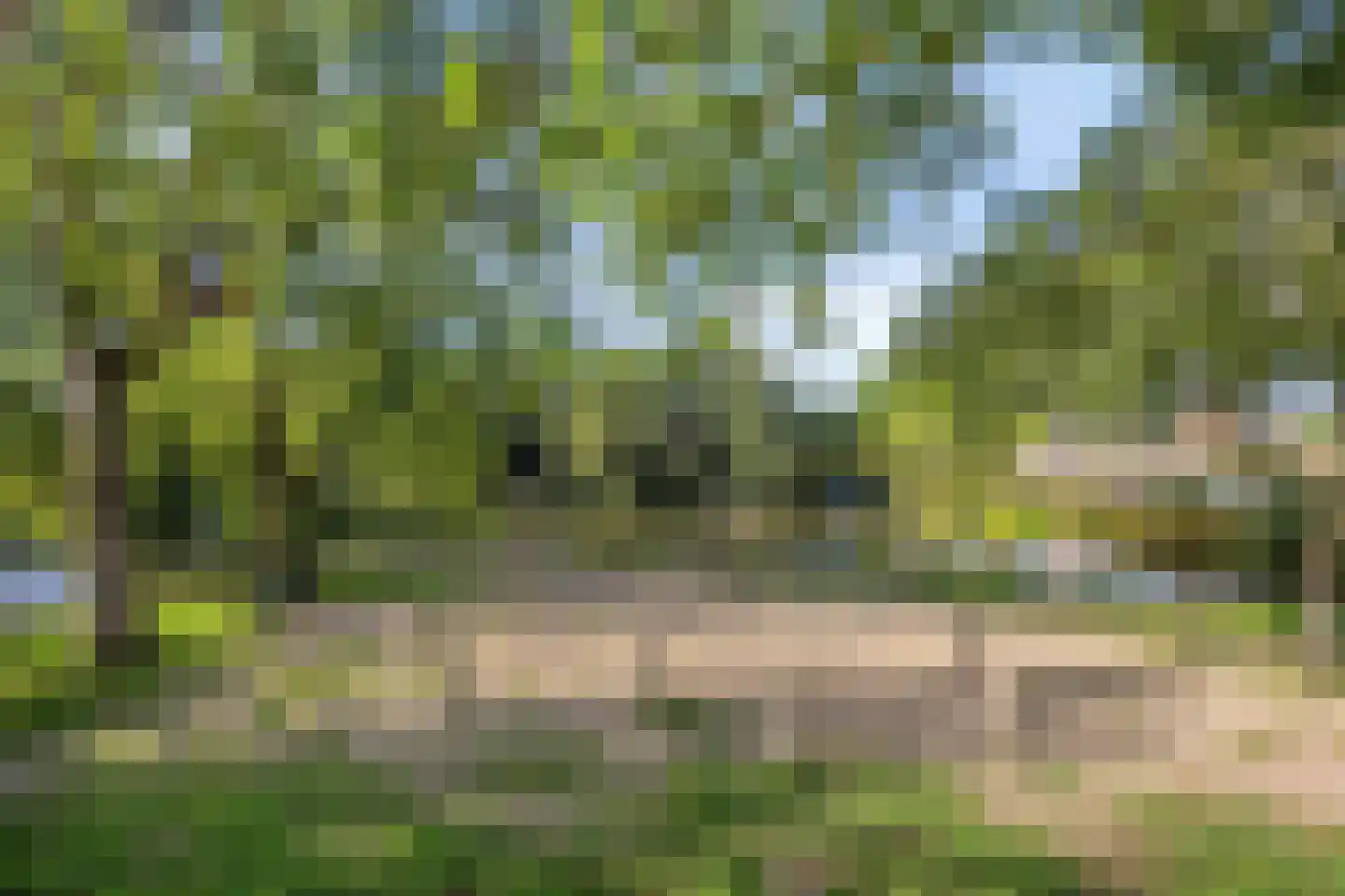 Muzenlaan 51 Leiderdorp thumbnail 41