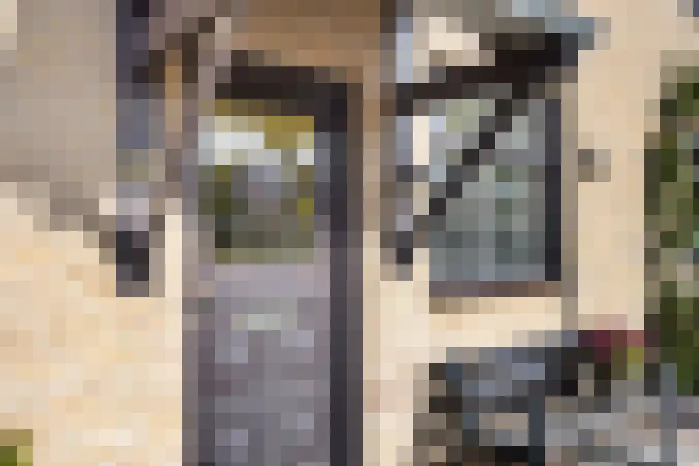 Muzenlaan 51 Leiderdorp thumbnail 6