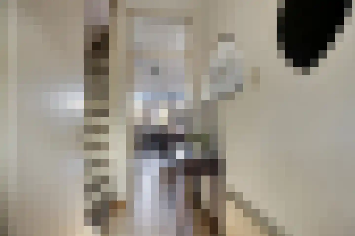 Muzenlaan 51 Leiderdorp thumbnail 7