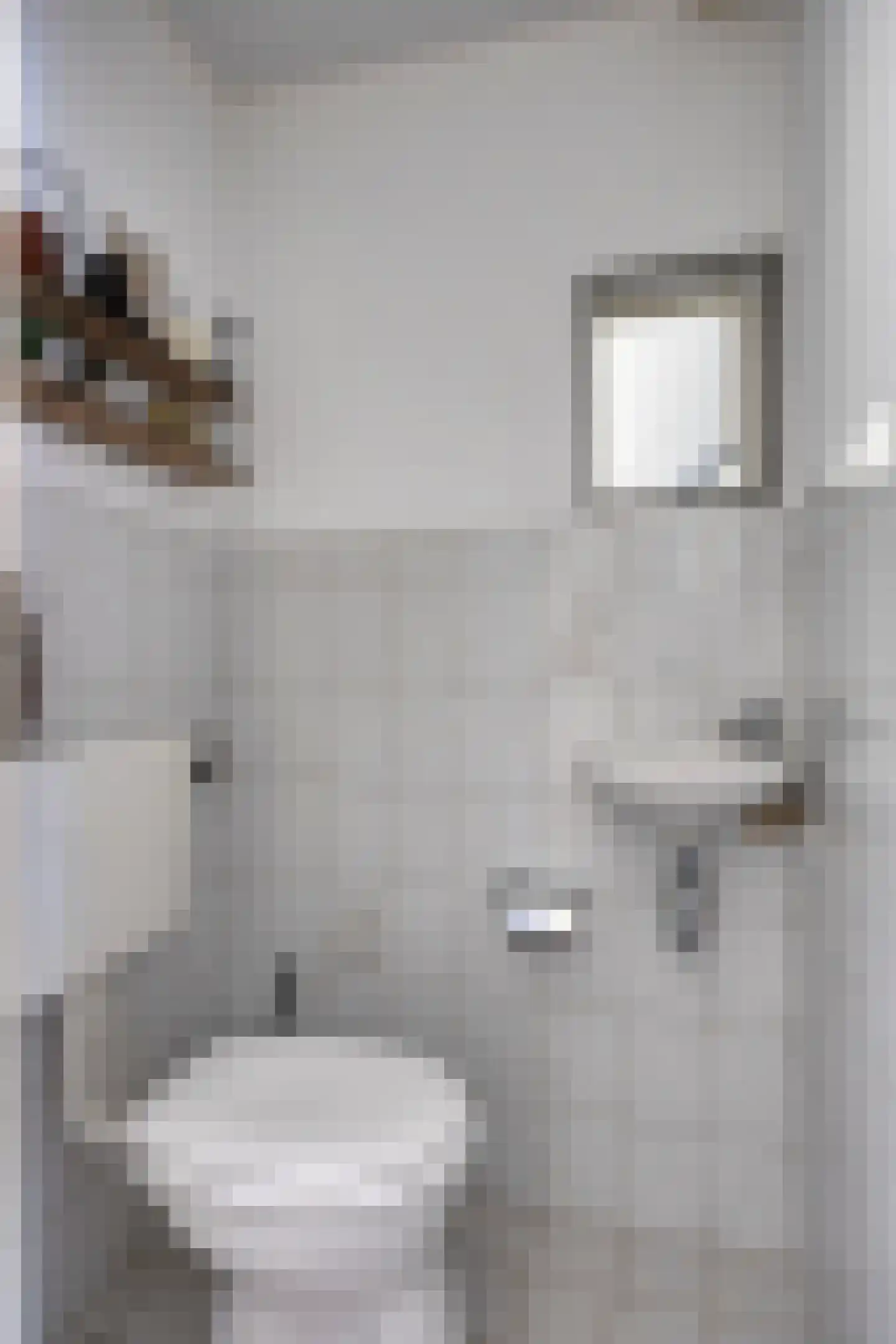 Muzenlaan 51 Leiderdorp thumbnail 8