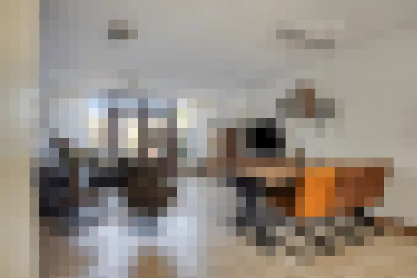 Muzenlaan 51 Leiderdorp thumbnail 9