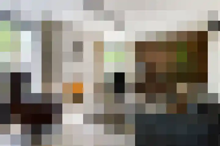 Muzenlaan 6 Beek en Donk thumbnail 10