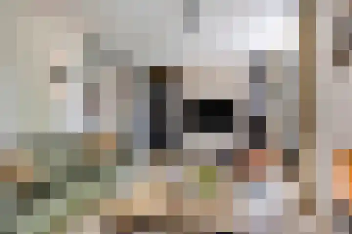 Muzenlaan 6 Beek en Donk thumbnail 11