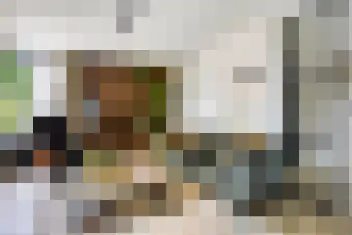 Muzenlaan 6 Beek en Donk thumbnail 12