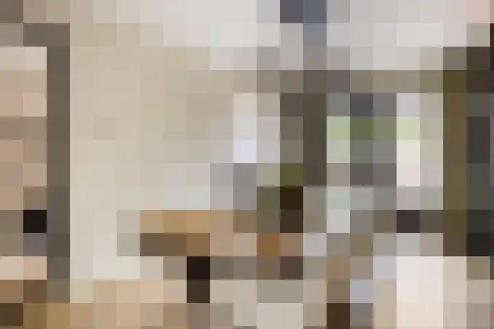 Muzenlaan 6 Beek en Donk thumbnail 15