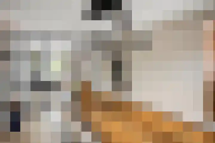 Muzenlaan 6 Beek en Donk thumbnail 16