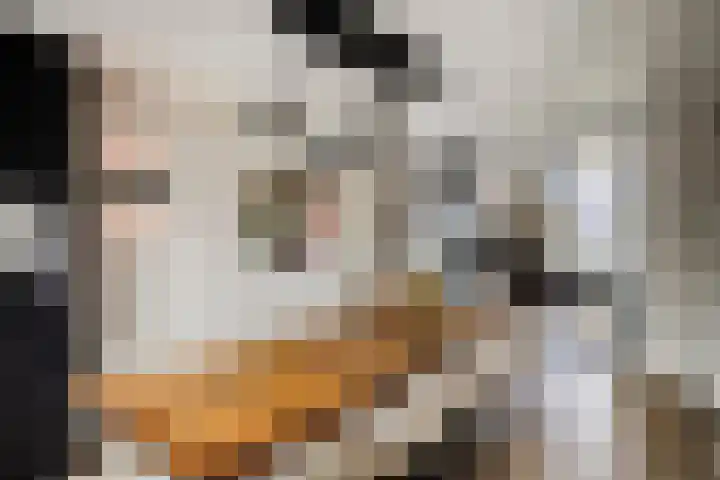 Muzenlaan 6 Beek en Donk thumbnail 17