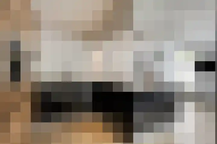 Muzenlaan 6 Beek en Donk thumbnail 18