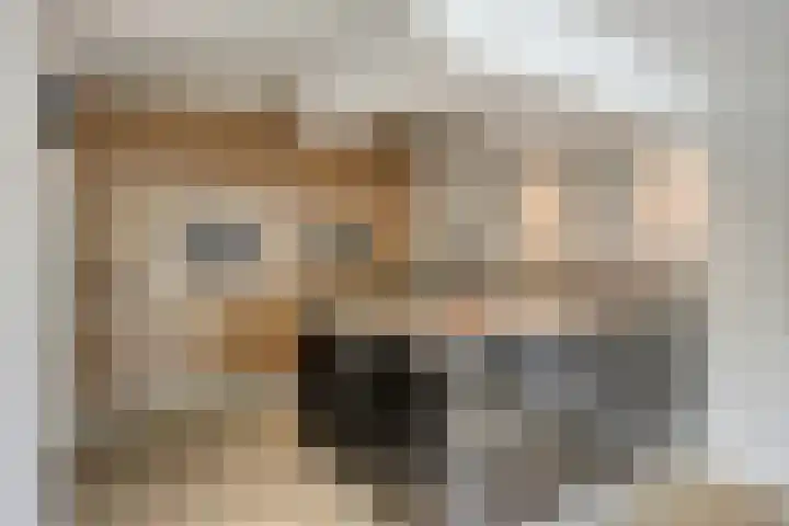 Muzenlaan 6 Beek en Donk thumbnail 19