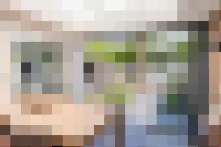 Muzenlaan 6 Beek en Donk thumbnail 26
