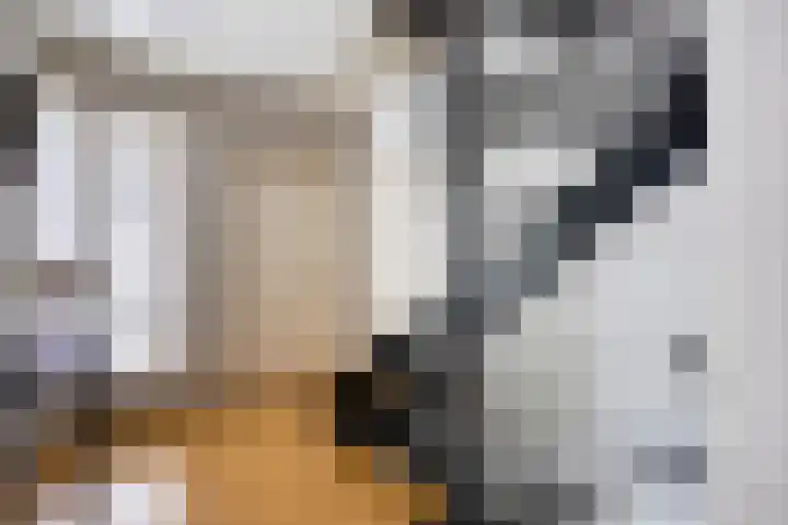 Muzenlaan 6 Beek en Donk thumbnail 28