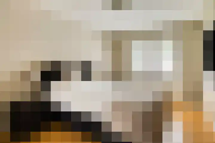 Muzenlaan 6 Beek en Donk thumbnail 29