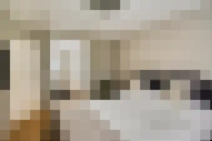 Muzenlaan 6 Beek en Donk thumbnail 30