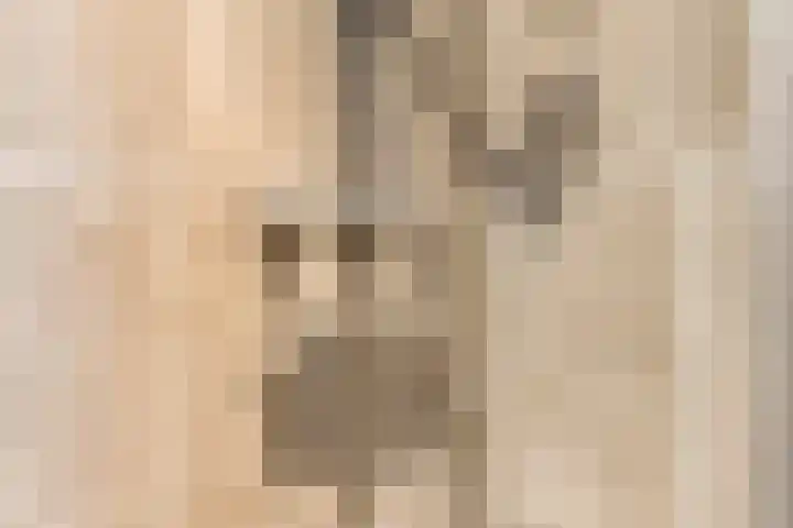 Muzenlaan 6 Beek en Donk thumbnail 34