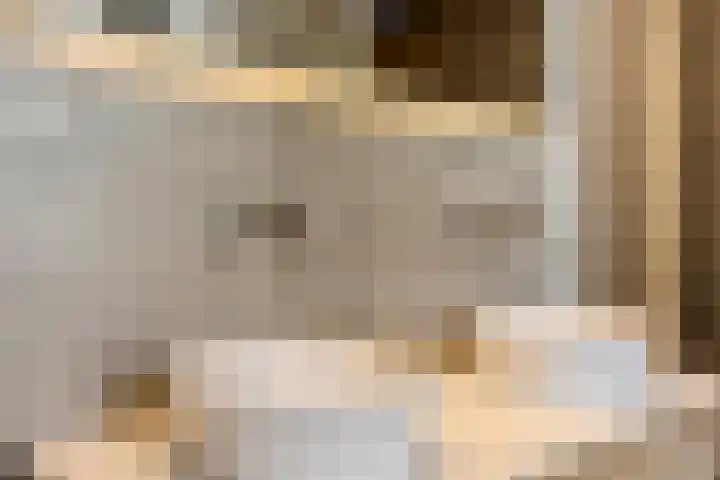 Muzenlaan 6 Beek en Donk thumbnail 35