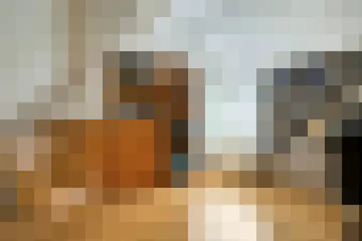 Muzenlaan 6 Beek en Donk thumbnail 37