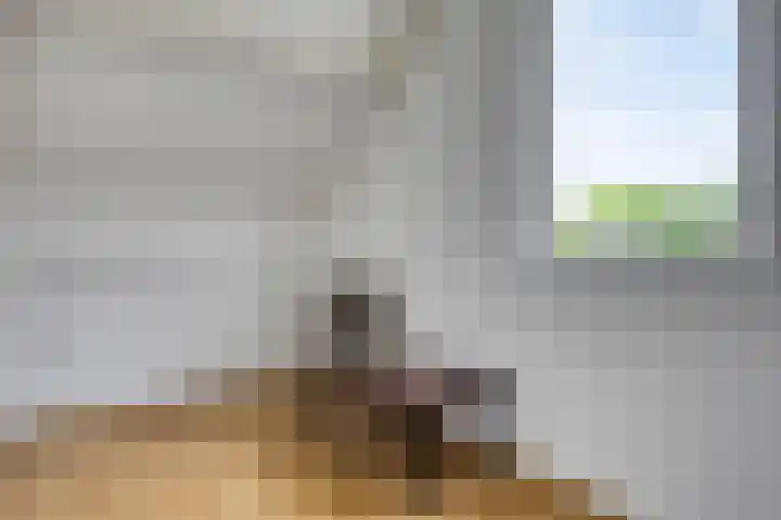 Muzenlaan 6 Beek en Donk thumbnail 40