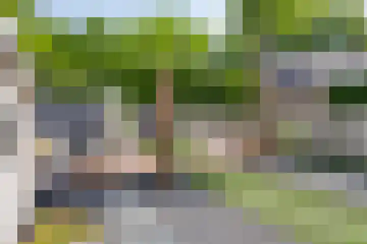 Muzenlaan 6 Beek en Donk thumbnail 42