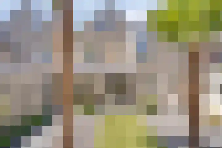 Muzenlaan 6 Beek en Donk thumbnail 43