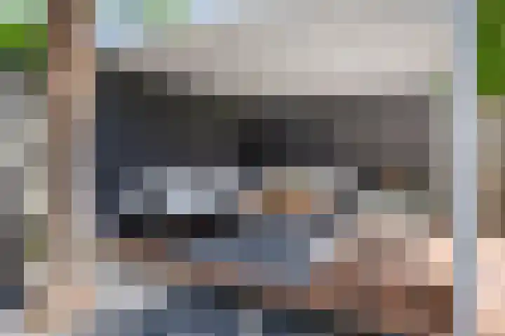 Muzenlaan 6 Beek en Donk thumbnail 46