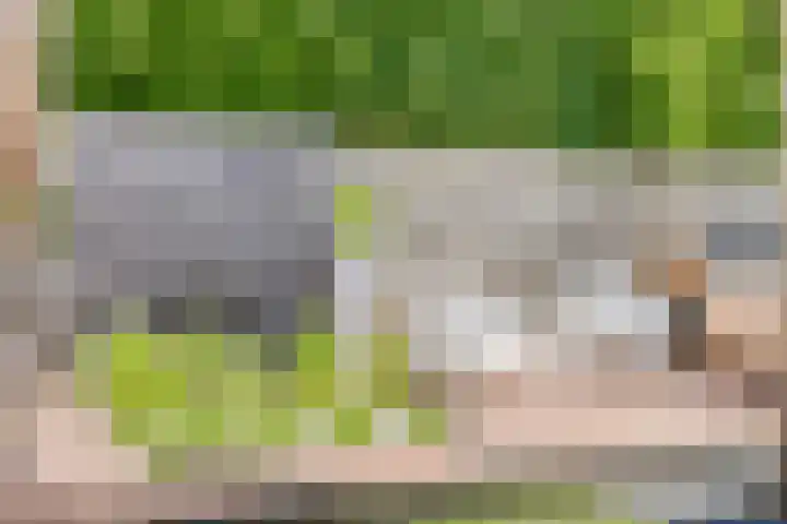 Muzenlaan 6 Beek en Donk thumbnail 47