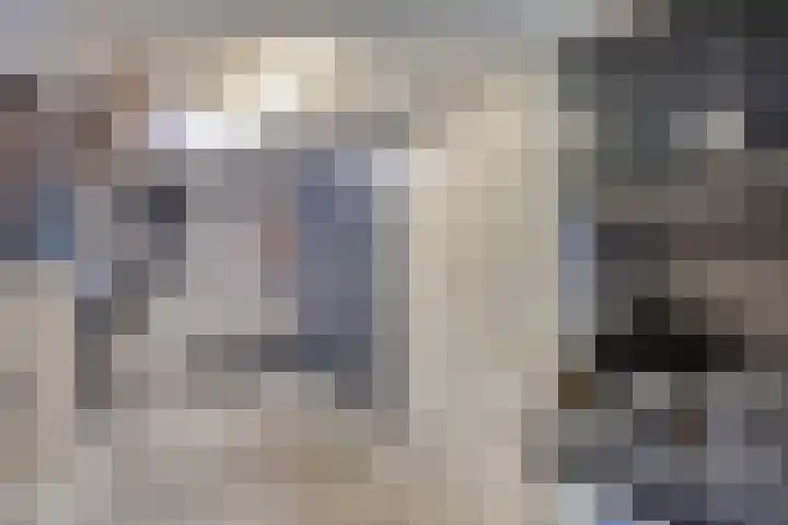 Muzenlaan 6 Beek en Donk thumbnail 48