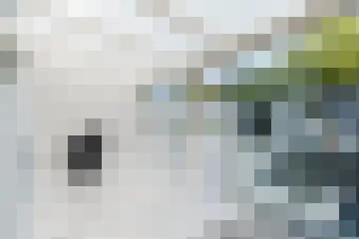 Muzenlaan 68 Eindhoven thumbnail 11