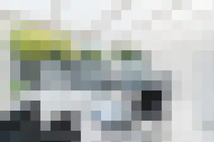 Muzenlaan 68 Eindhoven thumbnail 12