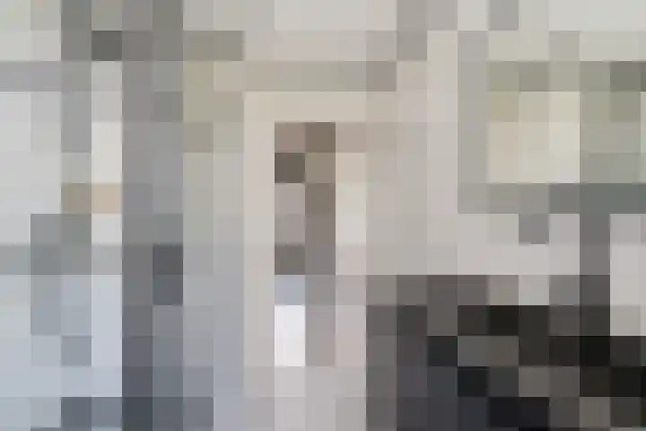 Muzenlaan 68 Eindhoven thumbnail 19