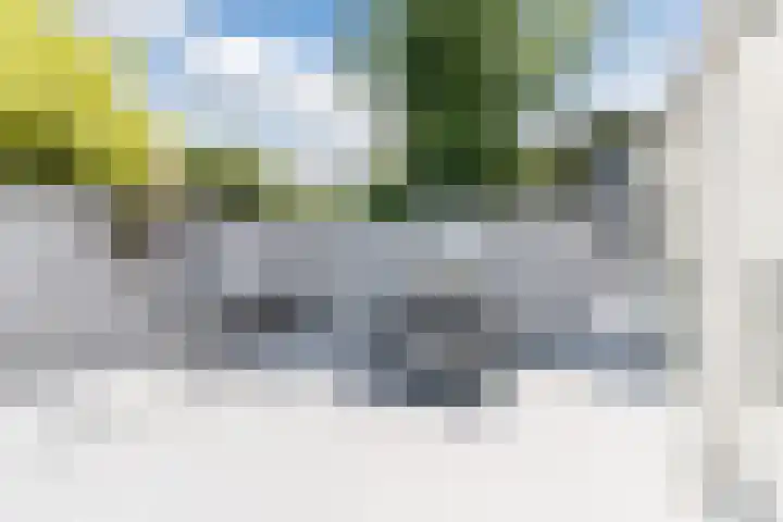 Muzenlaan 68 Eindhoven thumbnail 26