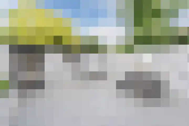 Muzenlaan 68 Eindhoven thumbnail 27