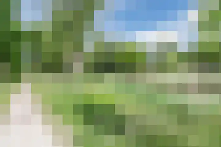 Muzenlaan 68 Eindhoven thumbnail 31