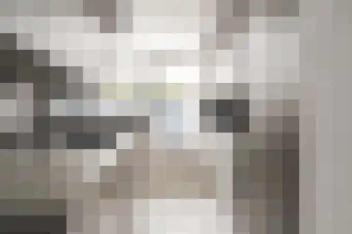 Muzenlaan 68 Eindhoven thumbnail 8