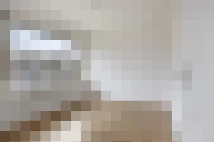 Muzenlaan 69 Eindhoven thumbnail 12