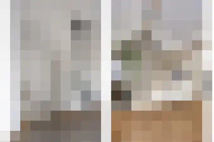 Muzenlaan 69 Eindhoven thumbnail 18