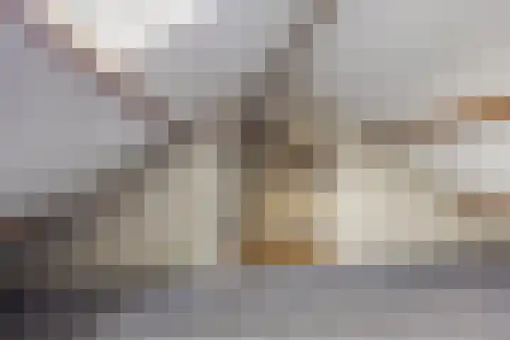 Muzenlaan 69 Eindhoven thumbnail 20