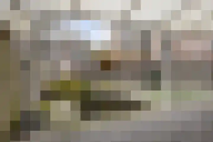 Muzenlaan 69 Eindhoven thumbnail 21