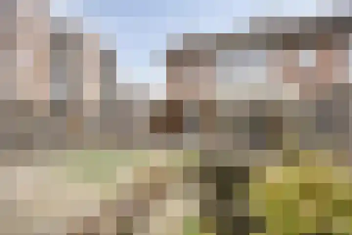 Muzenlaan 69 Eindhoven thumbnail 25