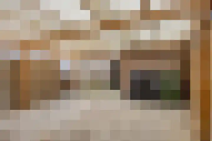 Muzenlaan 69 Eindhoven thumbnail 29