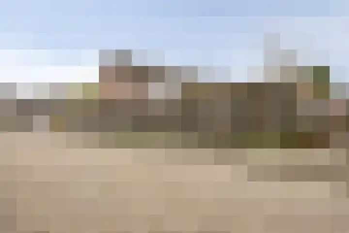 Muzenlaan 69 Eindhoven thumbnail 31