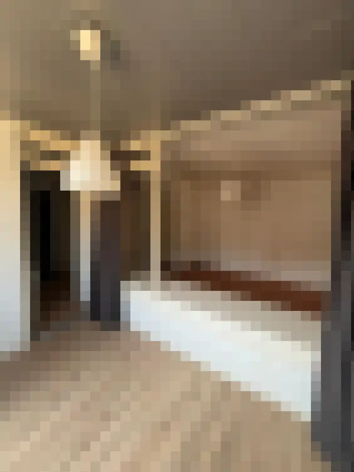 Muzenlaan 74 Eindhoven thumbnail 4
