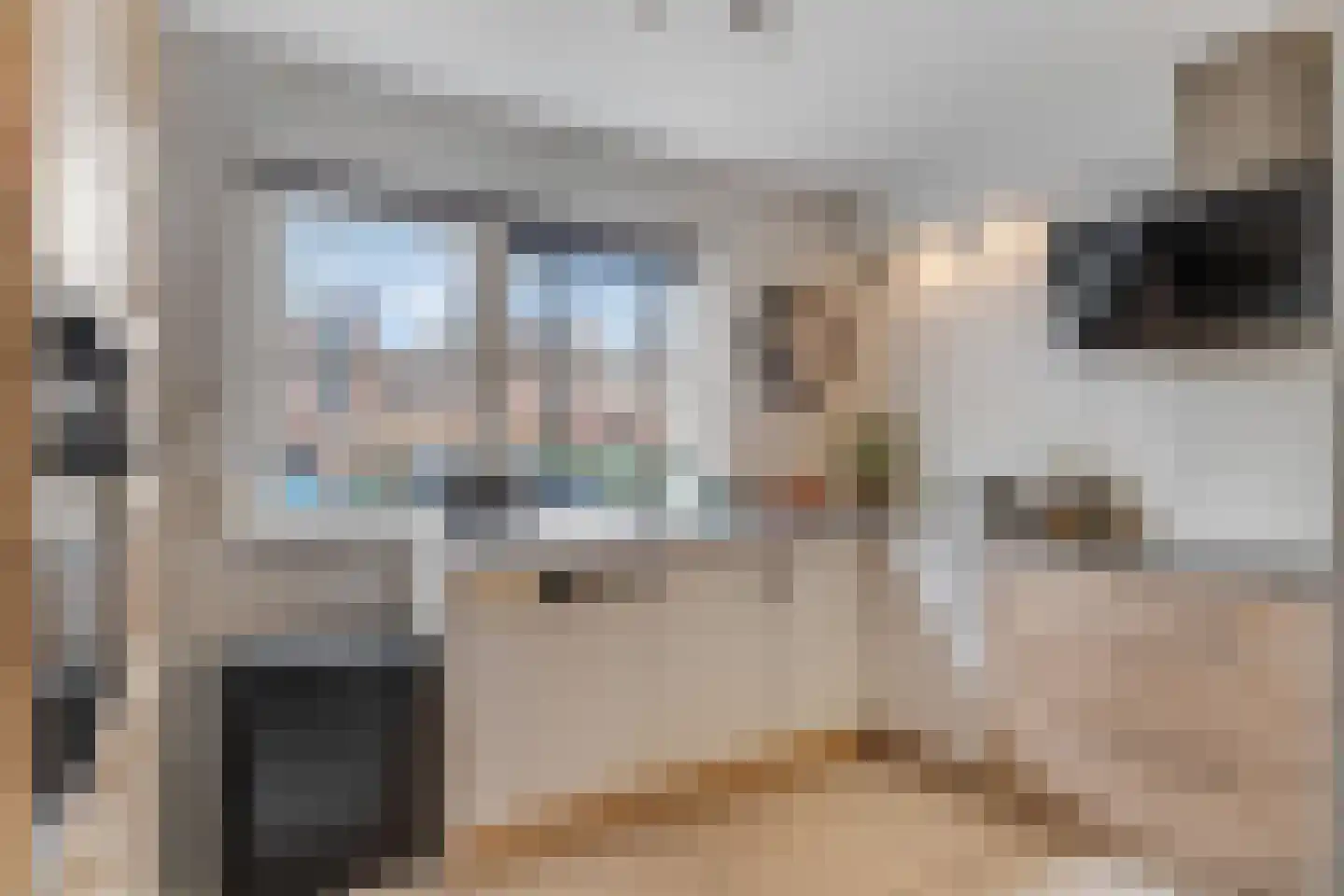 Muzenlaan 8 Gorinchem thumbnail 21