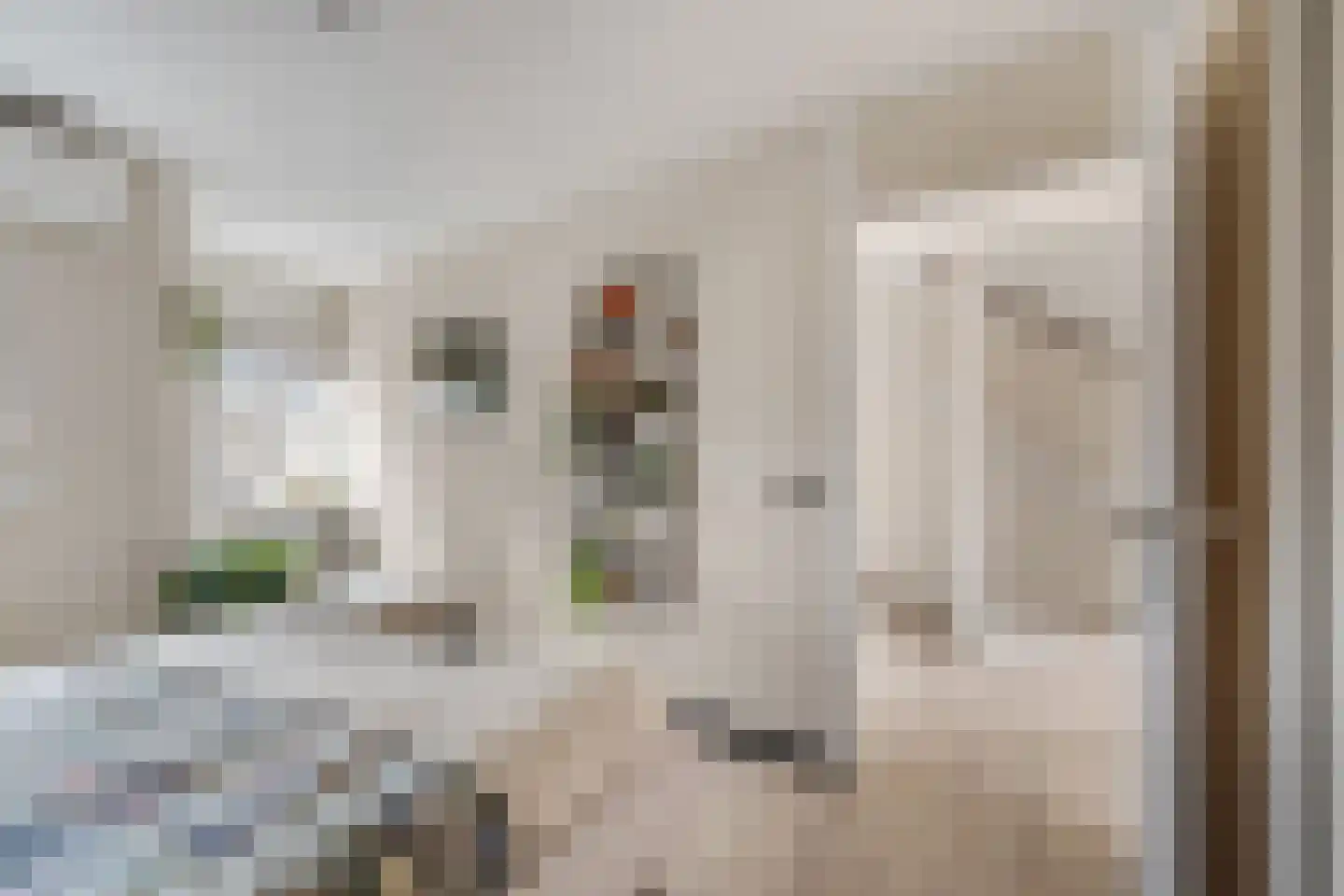 Muzenlaan 8 Gorinchem thumbnail 27
